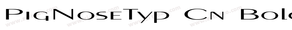 PigNoseTyp Cn Bold(1)字体转换